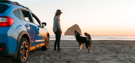 An individual standing on the beach during a sunset between a large dog and blue hatchback car.