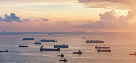 fleet of boats and sunset