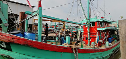 Green fishery boat